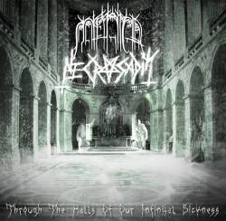 Necrosadik : Through the Halls of Our Infinital Sickness